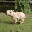 02.jpg CAPYBARA, FLEXI, ARTICULATED