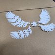 20240609_180011.jpg Articulated wings for DUMMY 13 (Fully flexible, module designs)
