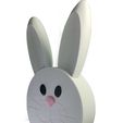 white-rabbit-2.jpg bunny-shaped basket