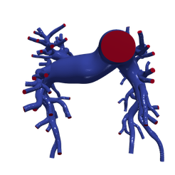 pulmonary0.5.png Fichier STL Modèle 3d des artères pulmonaires・Modèle à télécharger et à imprimer en 3D, blueshirt