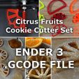 gcode.jpg FORMINERIA CITRUS FRUITS COOKIE CUTTER - GCODE for ENDER3