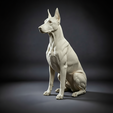 render.png Doberman Pinscher