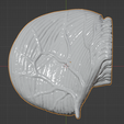 55.PNG.27c48854fb25da4c01783f12dbaefbaf.png 3D Model of Human Brain