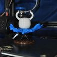 Hollow Knight