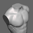 Abdomen_2.png Abdomen