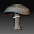 Mushroom wireframe.jpg Mushroom