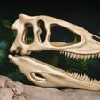 cover.jpg Carcharodontosaurus skull