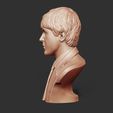 04.jpg Paul McCartney 3D print model