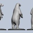 PPP2.jpg Polar Bear