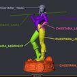 Cheetara_Pieces.jpg Figure de Cheetara