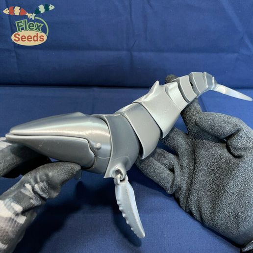 5c2e26b5-e381-41e8-8217-0add5930216c.jpg Flexi Humpback Whale - New Type(print-in-place)