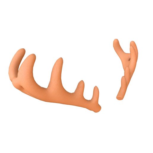 Deer_1.jpg Deer Antler