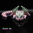 Dragon-1-Full-4.jpg Flex 3D Dragon One (2 versions - aile pliable et sans aile)