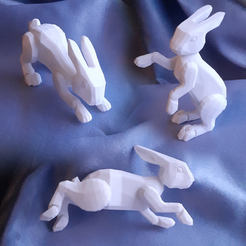 0.png Posable rabbit toy
