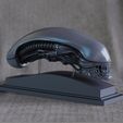 007.jpg Alien Head