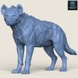 Resin-1400.jpg Wild Hyena Print Ready 3D Model