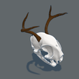 Gato-cuerno-2.png Decorative cat with horns