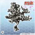 2.jpg Sakura tree (2) - Asian Asia Oriental Angkor Traditionnal Corea Cherry blossom Yoshino Japanese Flower