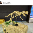 Schermafbeelding-2024-03-19-012952.png Lifesized Psittacosaurus skeleton