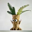 IMG_6700_PerfectlyClear.jpg 🌲 Merry Rootster - Niedlicher 3D gedruckter Baumstumpf-Pflanzer