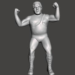 Screenshot-1123.png Fichier STL Figurine personnalisée WWE WWF LJN Style Andre the Giant・Design à télécharger et à imprimer en 3D