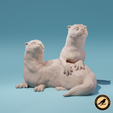 Preview0OTTERS.png Two otters