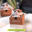 Hamster-Boxedables-Post-Design-10.png Hamster - Boxedables [Original Art]