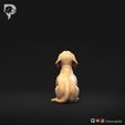 Dachshund-Miniature-Smooth-Haired-Pose-08-Dog-3D-Print-5s.jpeg Dachshund Miniature Smooth Haired Pose 08
