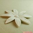 04b.jpg flowers: Aster - 3D printable model