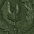 pic_1.jpg SAS Badge / Shield design