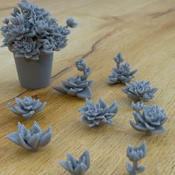 Succulents.jpg Archivo STL 9 PLANTAS SUCULENTAS PARA AMBIENTE DIORAMA SOBREMESA 1/35 1/24・Modelo para descargar e imprimir en 3D