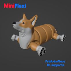 DOG-FLEXI1.jpg Dog flexi