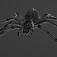 blend1.jpg Skeleton Tarantula Spider
