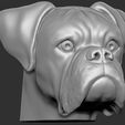5.jpg Boxer dog for 3D printing