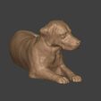 I28.jpg Dog - Labrador Statue