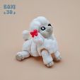 Pudlle_Img_Boxi3D_04.jpg POODLE - FLEXI - ARTICULATED - CUTE-PRINT IN PLACE
