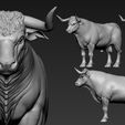 00.jpg Toros Bravos