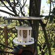 IMG_0029.jpg Bird seed ball holder