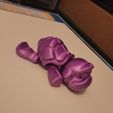 tortue flexible