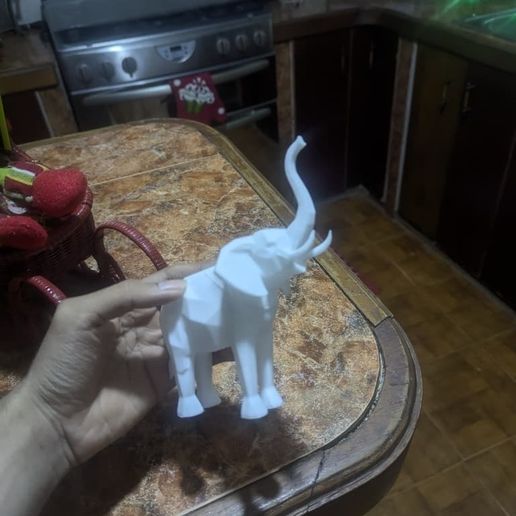 WhatsApp-Image-2025-11-27-at-11.57.22-AM-1.jpeg Elephant lifting its trunk LOW POLY