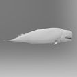 whale_render_01.jpg Free OBJ file whale・3D printing idea to download