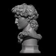 3.jpg BUSTO ROSAS  DAVID (de Miguel Ángel)