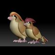 1.jpg Pokemon Pidgey Pidgeotto Pidgeot 3D print model