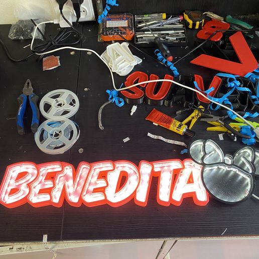 BENEDITA NAMELED MINNIE 3D model