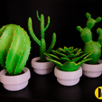 painted.png Multiple Cactus Home Decor - No support needed