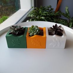 SC-4a.jpg STL file SUCCULENT PLANTERS 4・3D print object to download