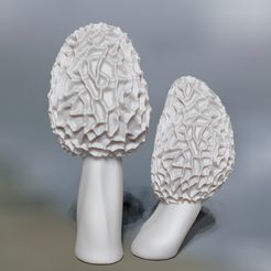 2023-04-20-15_50_06-ZBrush.jpg naturalist sculpture morel mushrooms