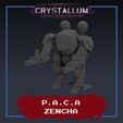 Zencha-cults.jpg Pan Asian Corporate Alliance Zencha
