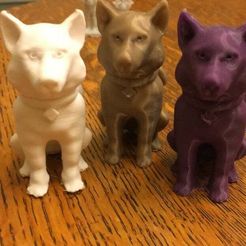 IMG_2276.JPG Free OBJ file Husky sitting at attention・3D printing model to download, Pza4Rza