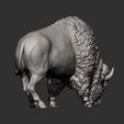 bison11.jpg Bison 3D print model
